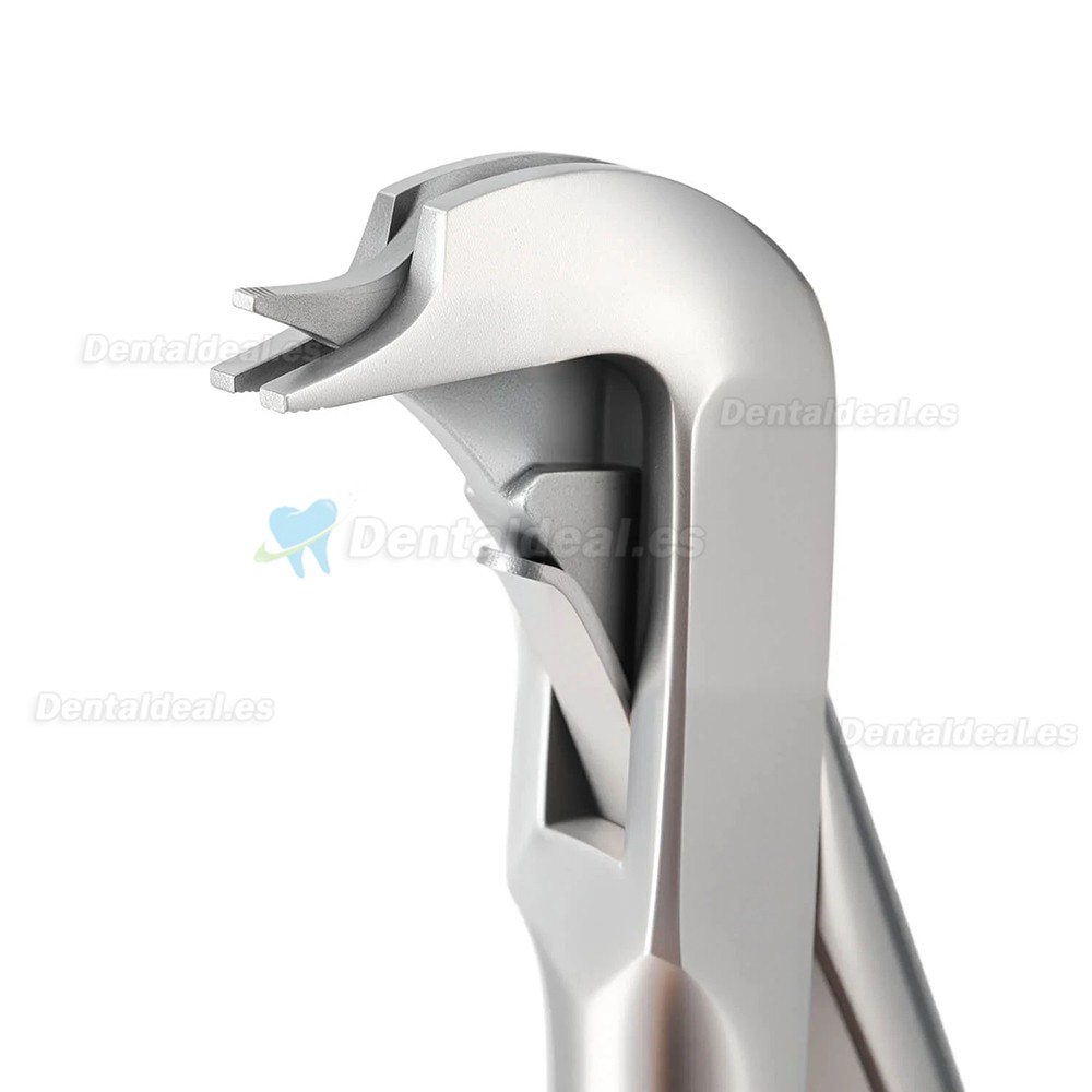 Extractor de Coronas Dentales Tipo Separador Cruzado para Coronas Rotas